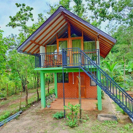 Sigiri Saat Cabana Sigiriya Bagian luar foto