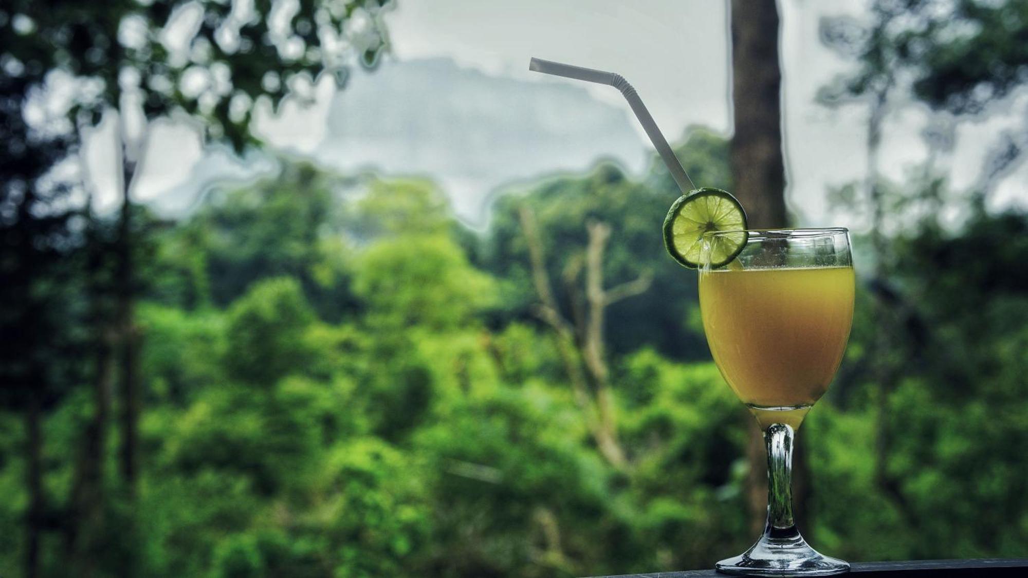Sigiri Saat Cabana Sigiriya Bagian luar foto