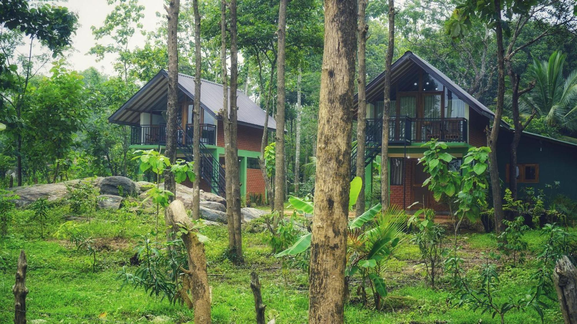 Sigiri Saat Cabana Sigiriya Bagian luar foto