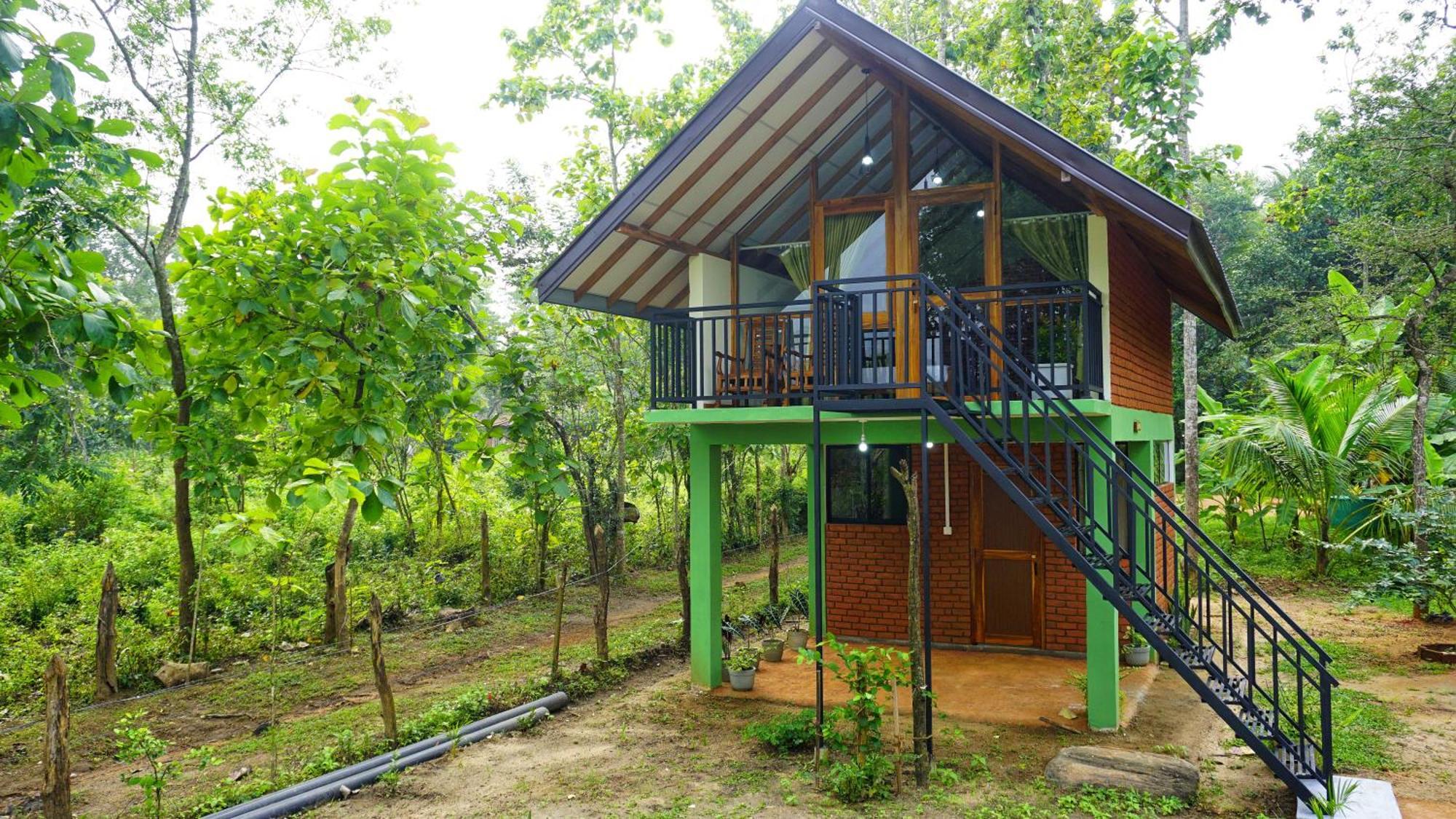 Sigiri Saat Cabana Sigiriya Bagian luar foto