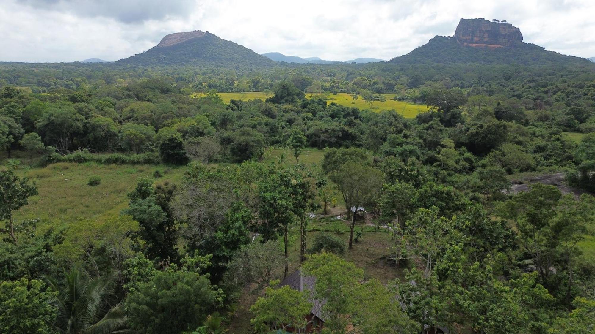 Sigiri Saat Cabana Sigiriya Bagian luar foto