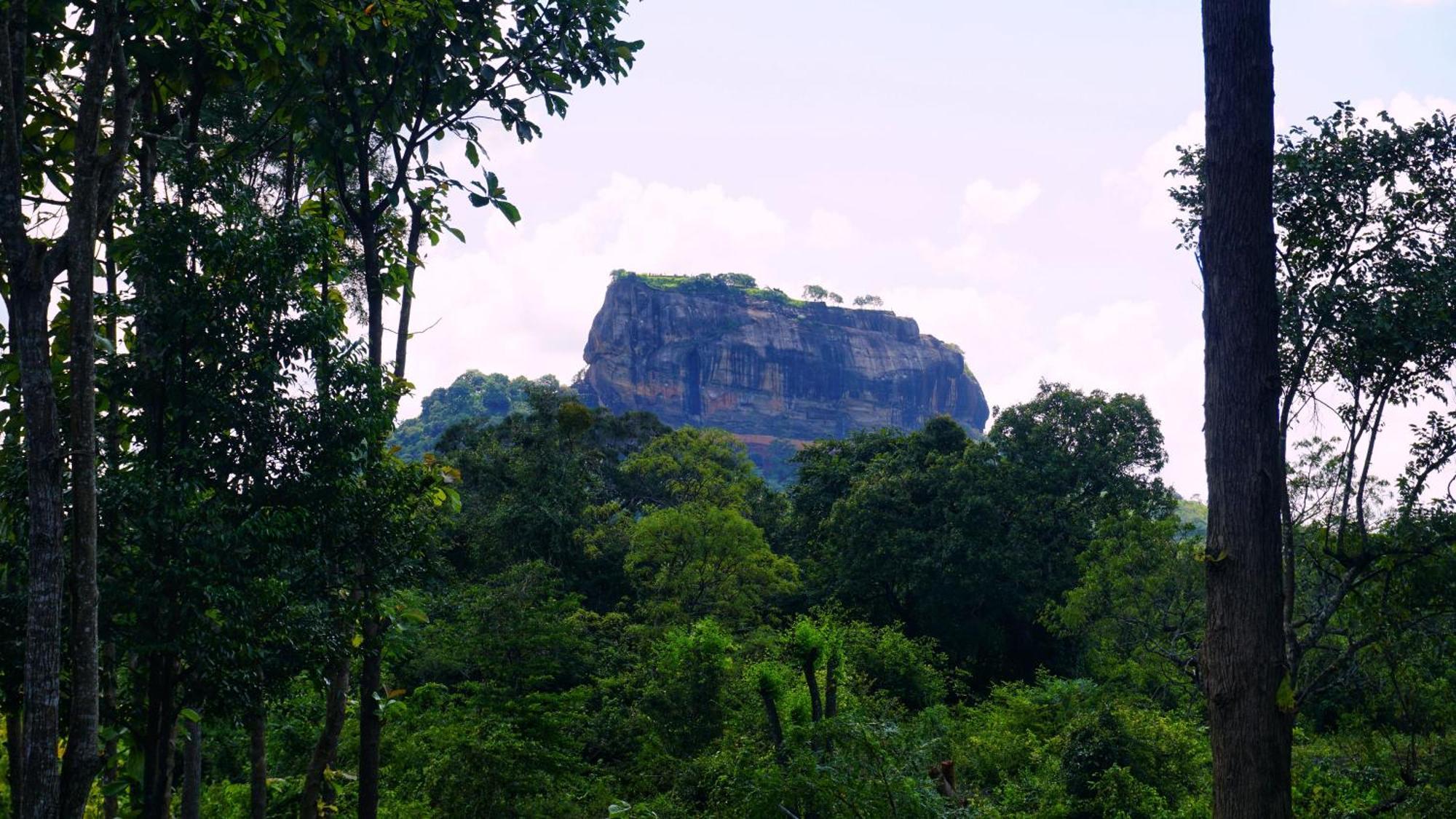 Sigiri Saat Cabana Sigiriya Bagian luar foto