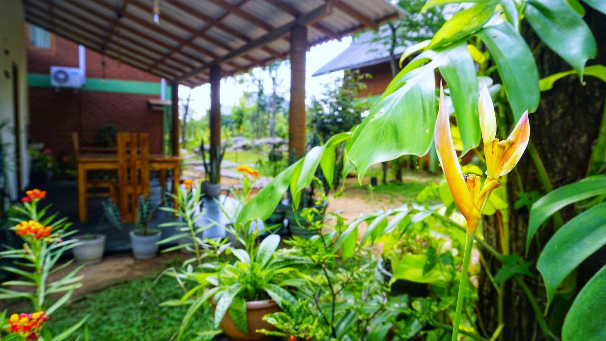 Sigiri Saat Cabana Sigiriya Bagian luar foto